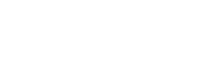 Landers Logo