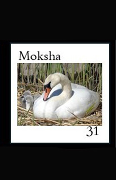 graphic from gameboard