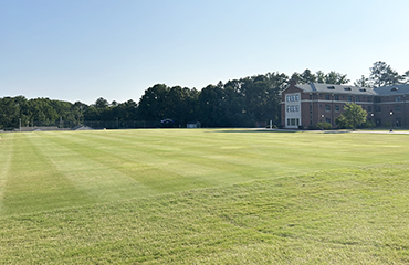 New Hall Field