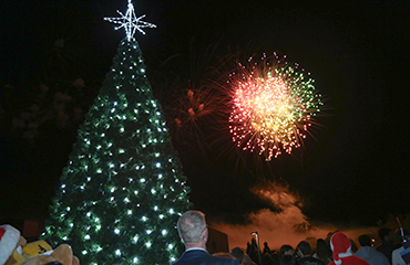 christmas tree and fireworks