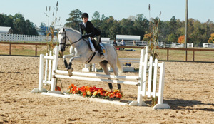 equestrian jumper