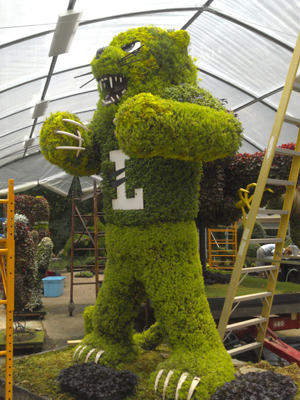 Bearcat topiary
