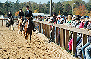 horse riders at show