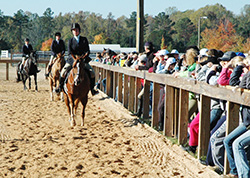 horse riders at show