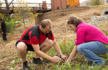 Members of Tri-Beta planting a tree