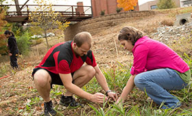 Members of Tri-Beta plant a tree
