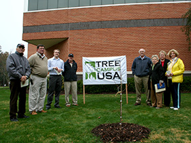 arbor day tree planting