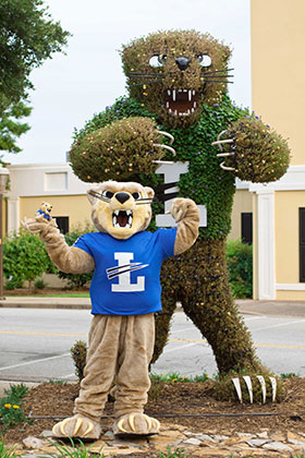 Bearcat with topiary