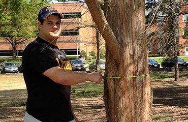 john cuttino measuring a tree