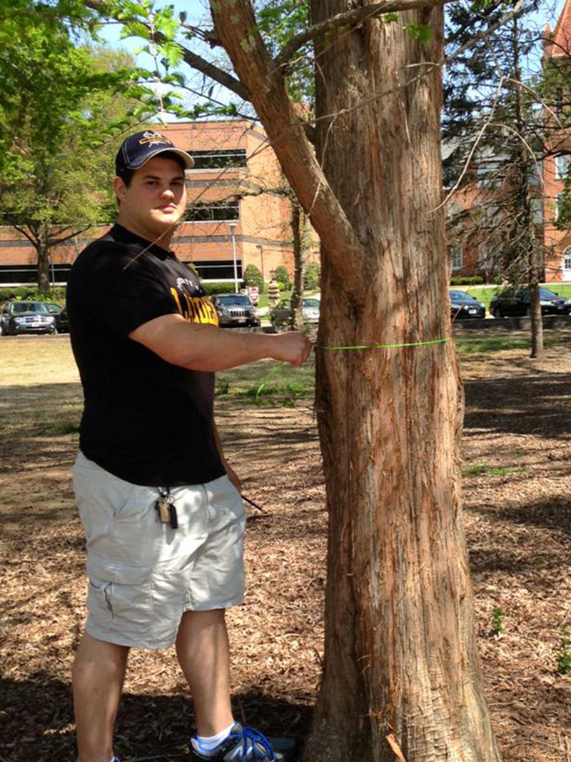 john cuttino measuring a tree