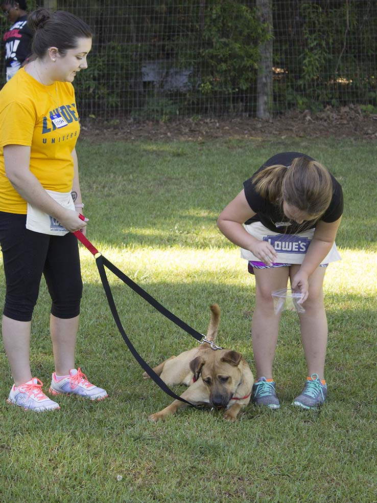 camp good dog participants