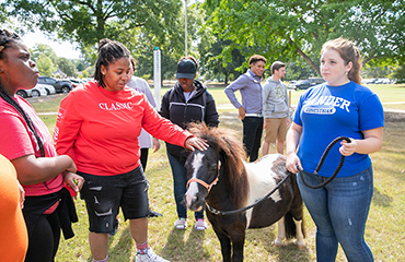 students with miniature horse