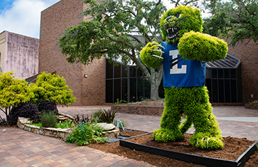 Bearcat topiary
